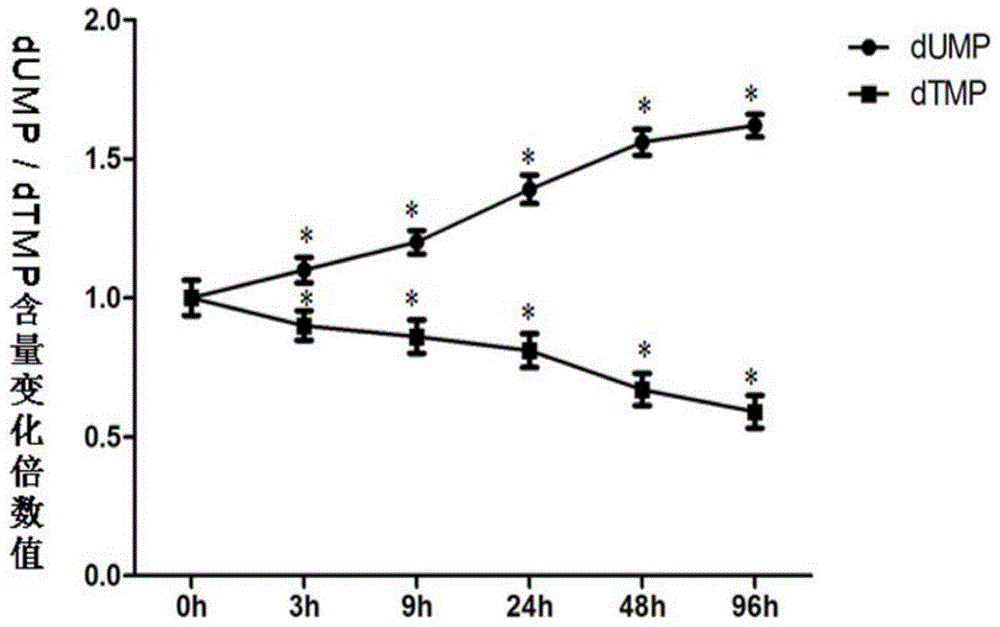 Application of thymidylate synthase inhibitor in preparation and construction of mouse model with NTDs (neural tube defects)