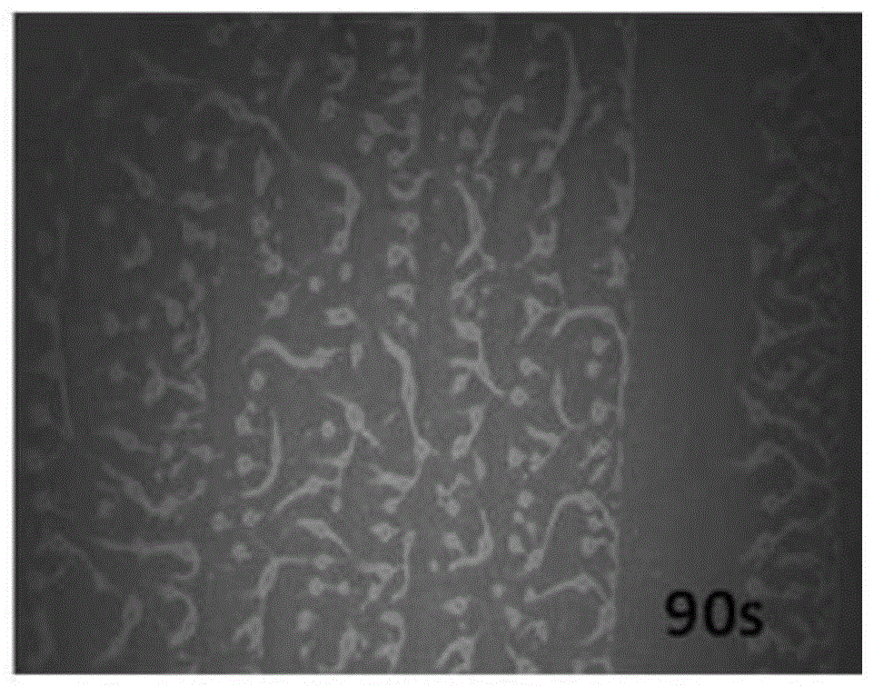 A kind of preparation method of patterned graphene conductive film