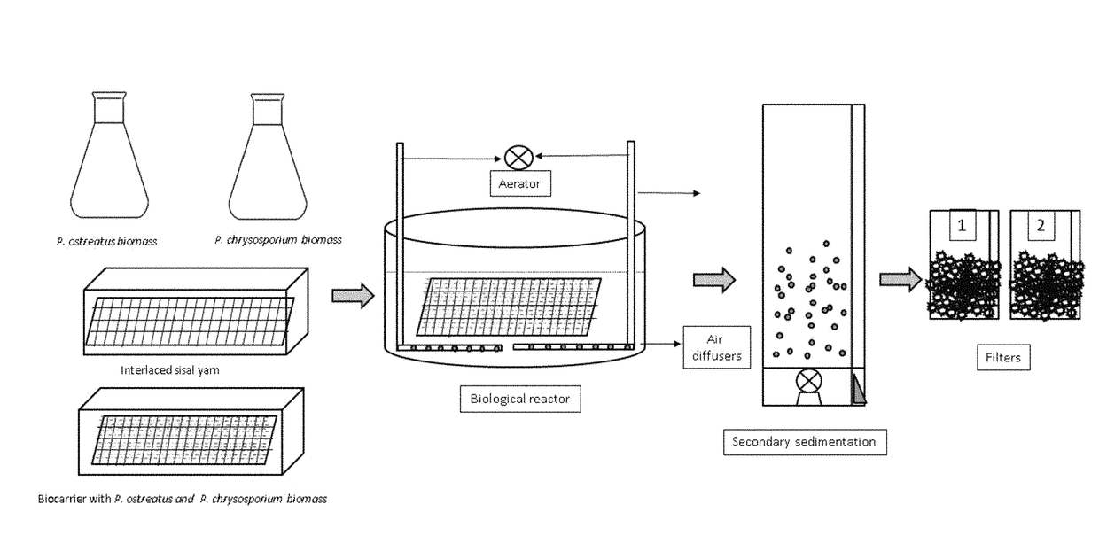 Consortium of fungi immobilized on a laminar lignocellulose carrier for the treatment of wastewater and method for producing same