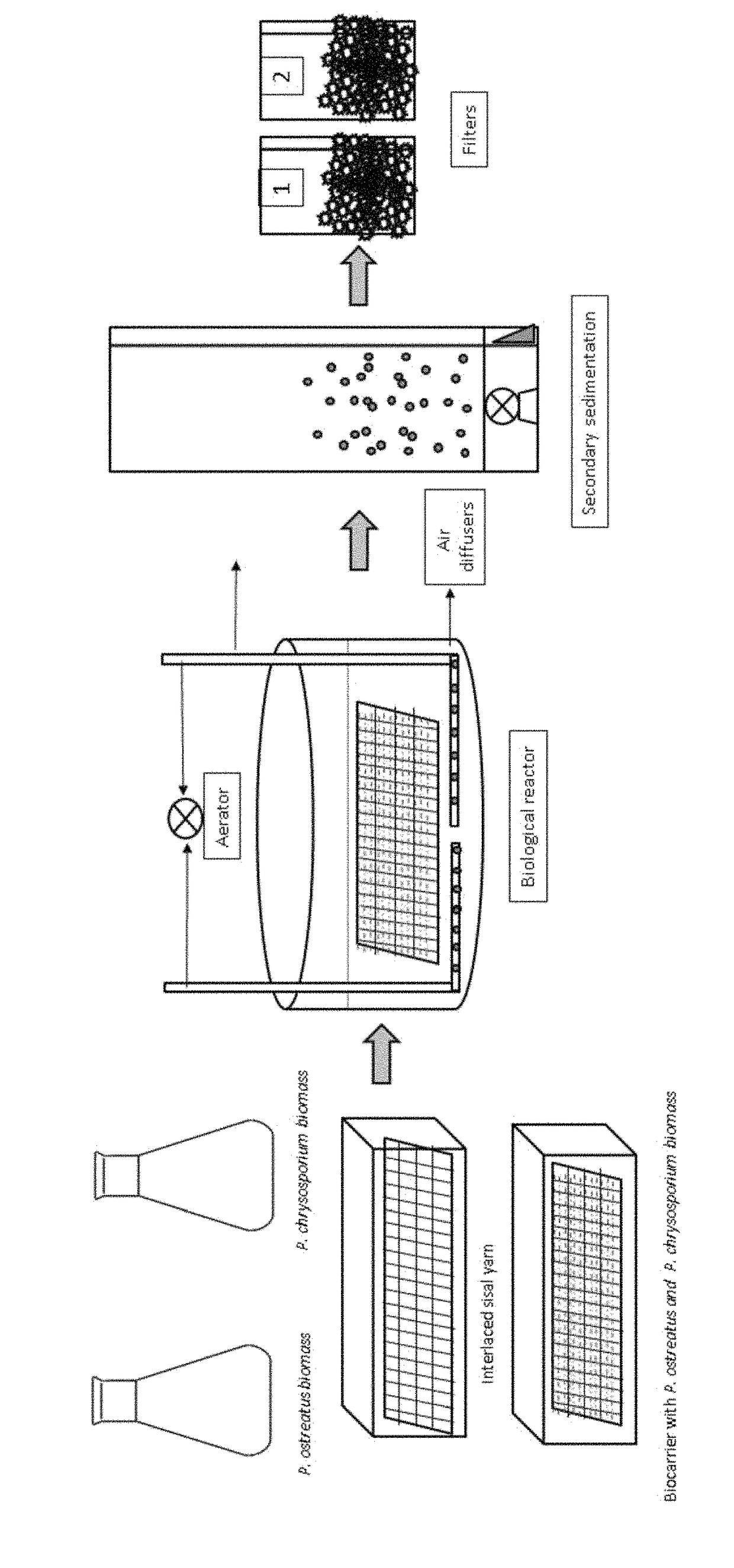 Consortium of fungi immobilized on a laminar lignocellulose carrier for the treatment of wastewater and method for producing same