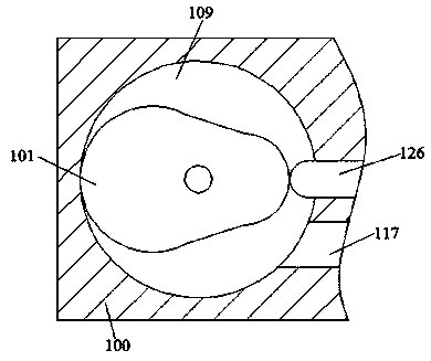 A device for preparing drugs for enhancing immune function