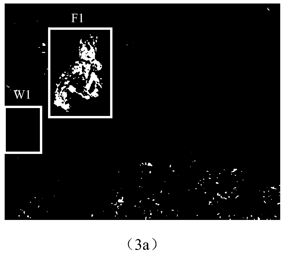 Burned area detection method based on short-wave infrared and thermal infrared data feature fusion