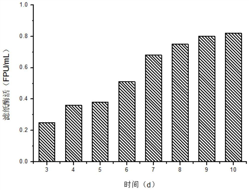 A method for producing cellulase by fermenting corn stalk furfural residue with mixed bacteria