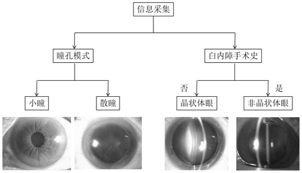 Cataract and after cataract analysis system and device based on mobile terminal