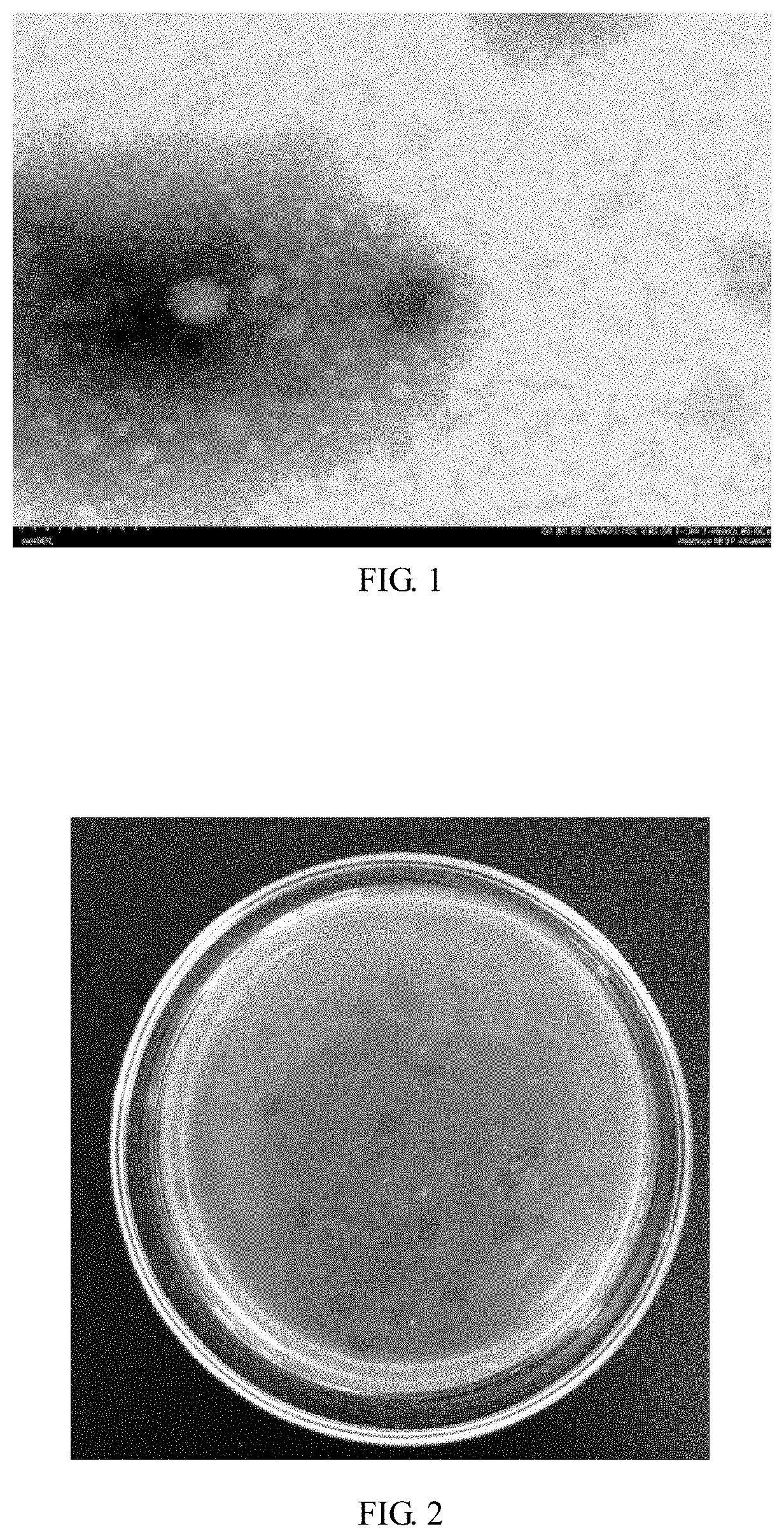 Wide-spectrum salmonella phage and application thereof