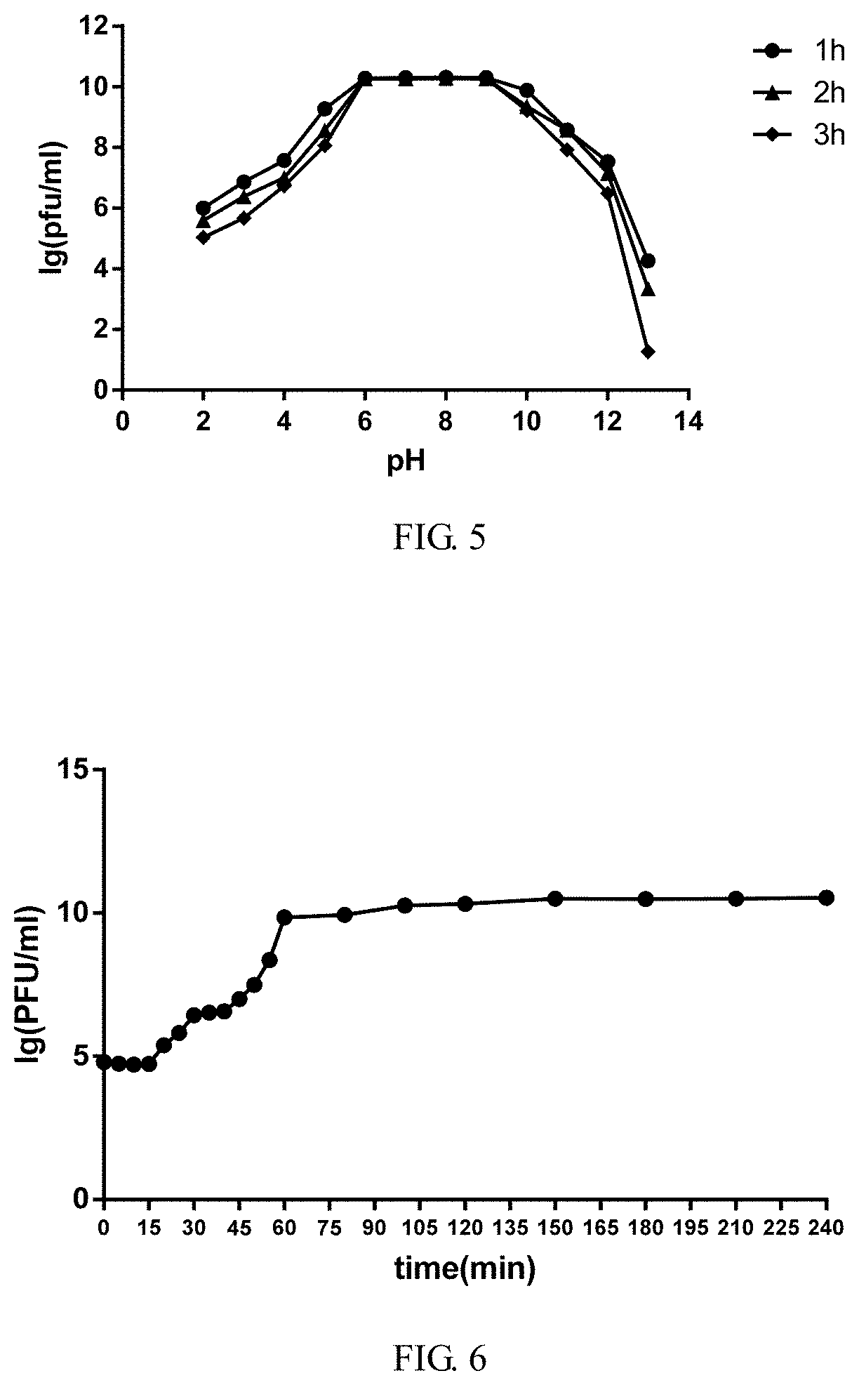 Wide-spectrum salmonella phage and application thereof