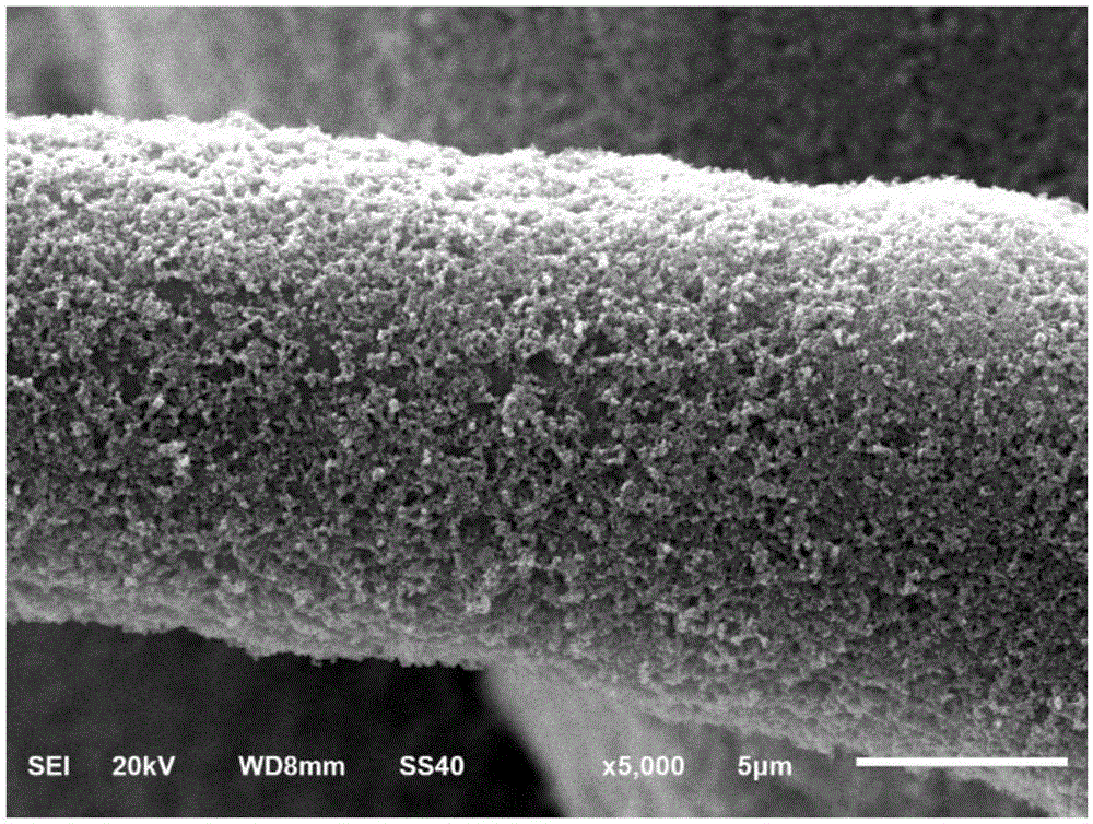 Difunctional electrode with nitrification and denitrification activity and preparing method and application thereof