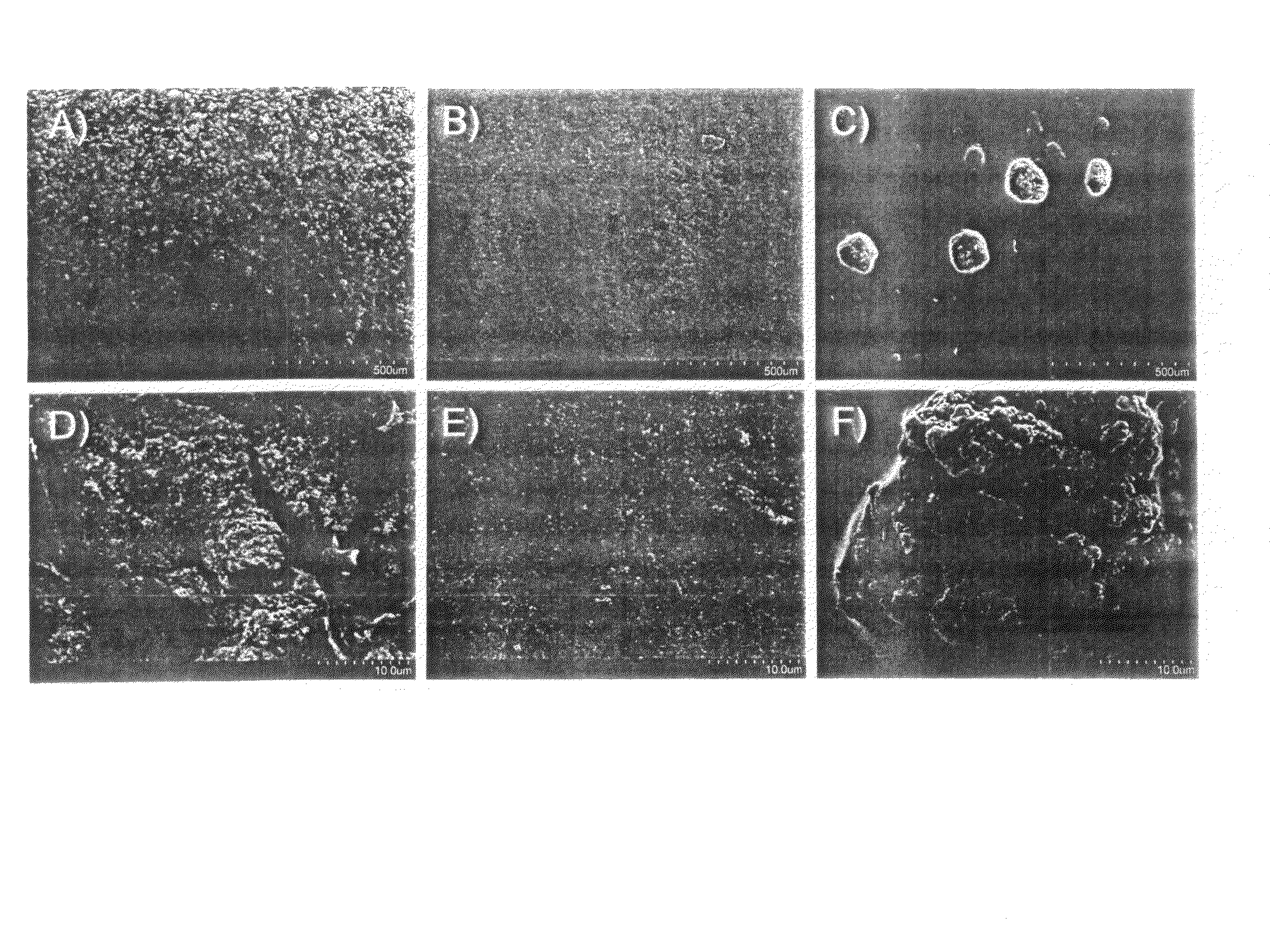 Composite catalytic material and process for manufacture of such material