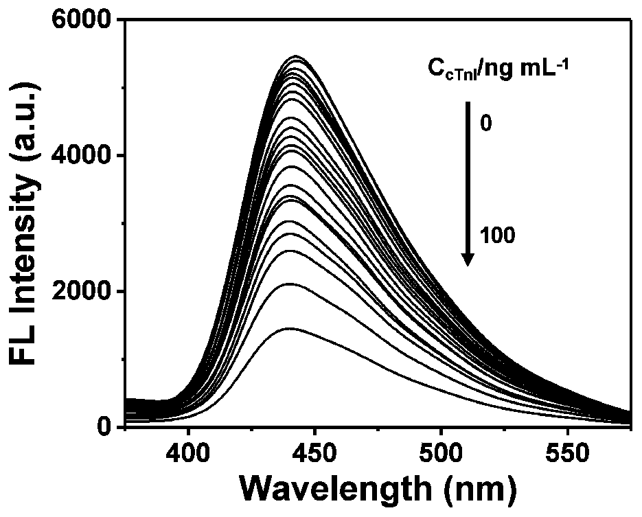 Cleaning-free universal ELISA fluorescence immunoassay probe and preparation method and application thereof