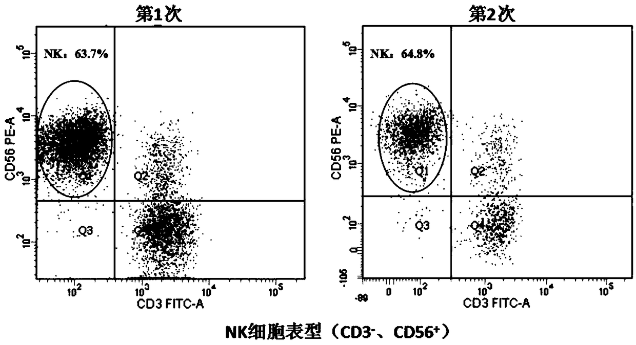 Experiment method for preventing melanoma through nature killer (NK) cells