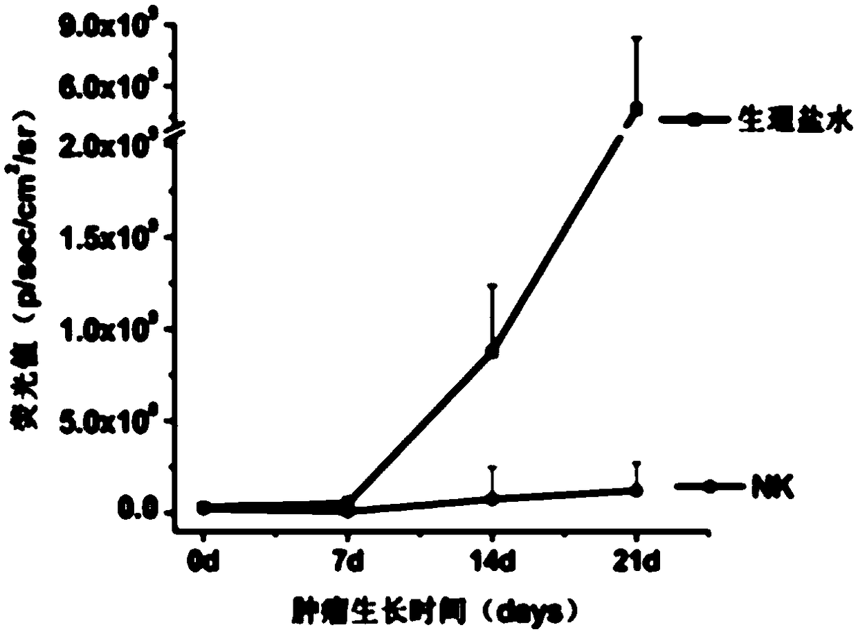 Experiment method for preventing melanoma through nature killer (NK) cells