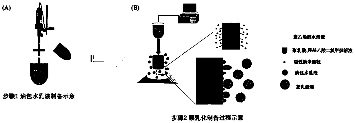 A kind of preparation method of magnetic induction hyperthermia embolization microsphere