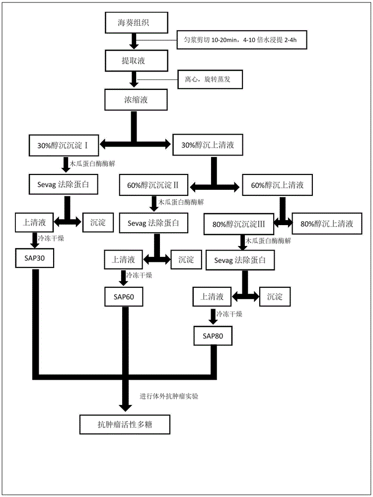 A kind of preparation method of sea anemone polysaccharide and its antitumor application