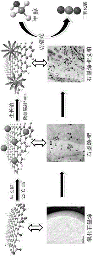 High catalytic activity graphene-Pd @ Pt core-shell structure nanoflower compound and preparation method thereof