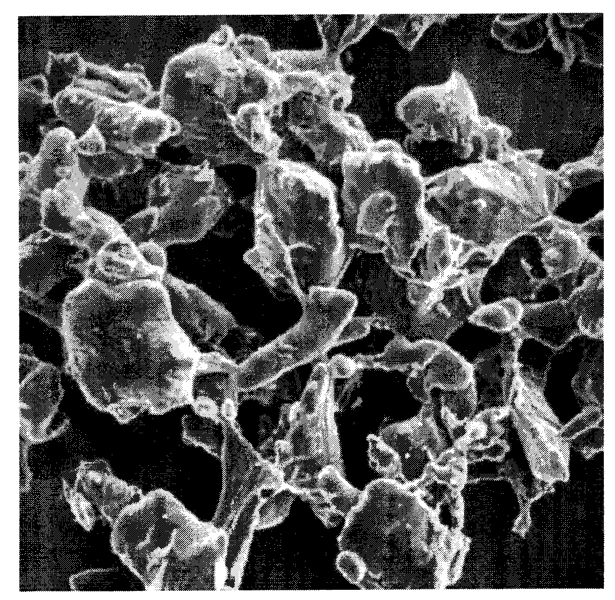 Improved biodegradable porous scaffold particle for injection and preparation method thereof