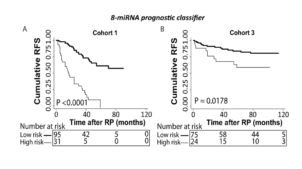 A microrna-based method for assessing the prognosis of a prostate cancer patient