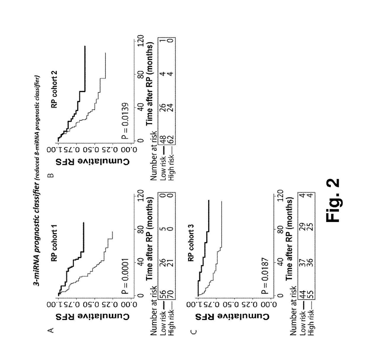 A microrna-based method for assessing the prognosis of a prostate cancer patient