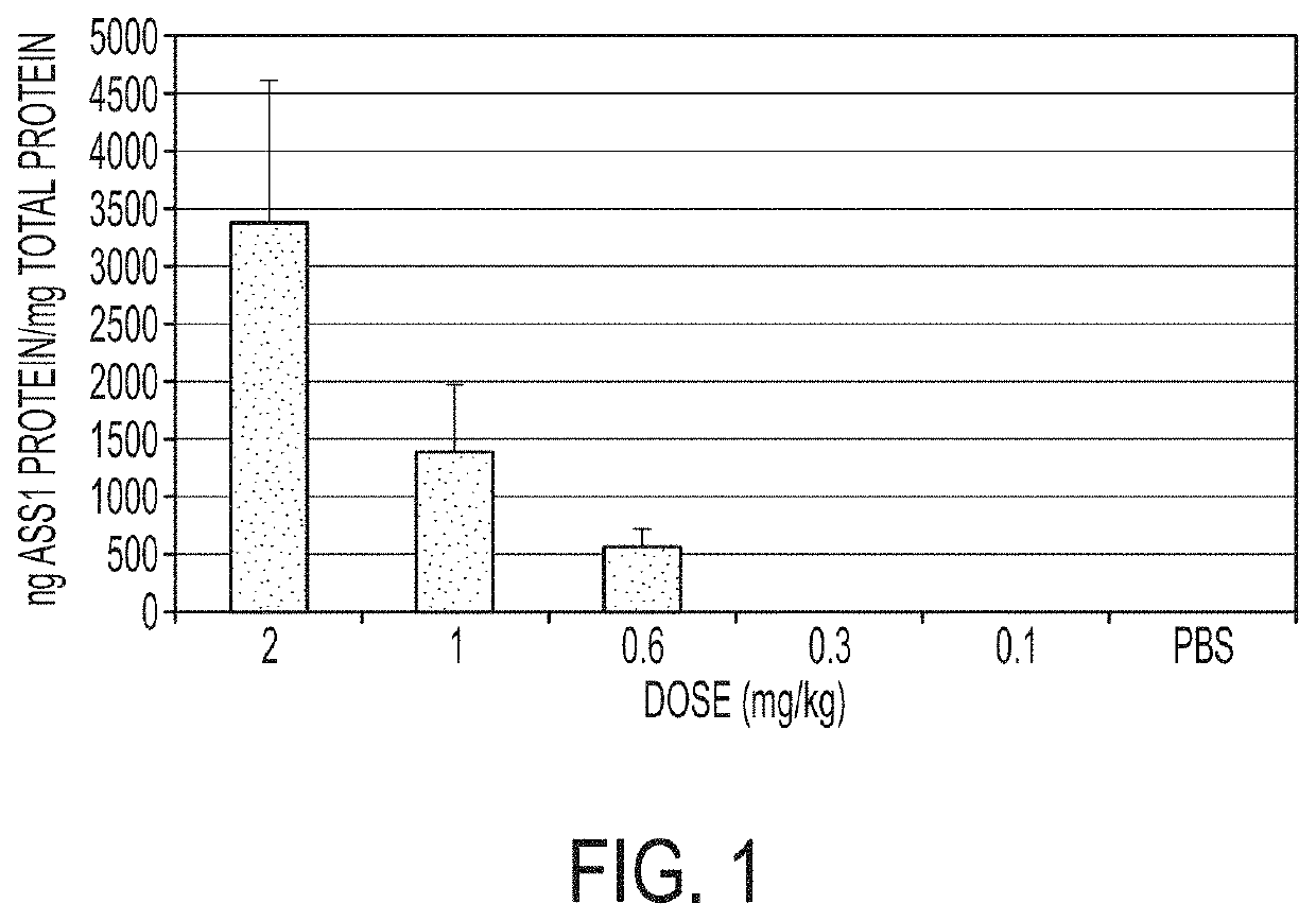 MRNA therapy for argininosuccinate synthetase deficiency