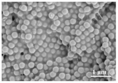 Preparation method of patterned photonic crystal structure chromogenic material with stable structure and bright color