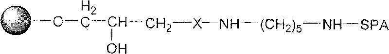 Protein A immunoadsorption material for eliminating pathogenic antibody and its complexes, and synthesizing method and application thereof