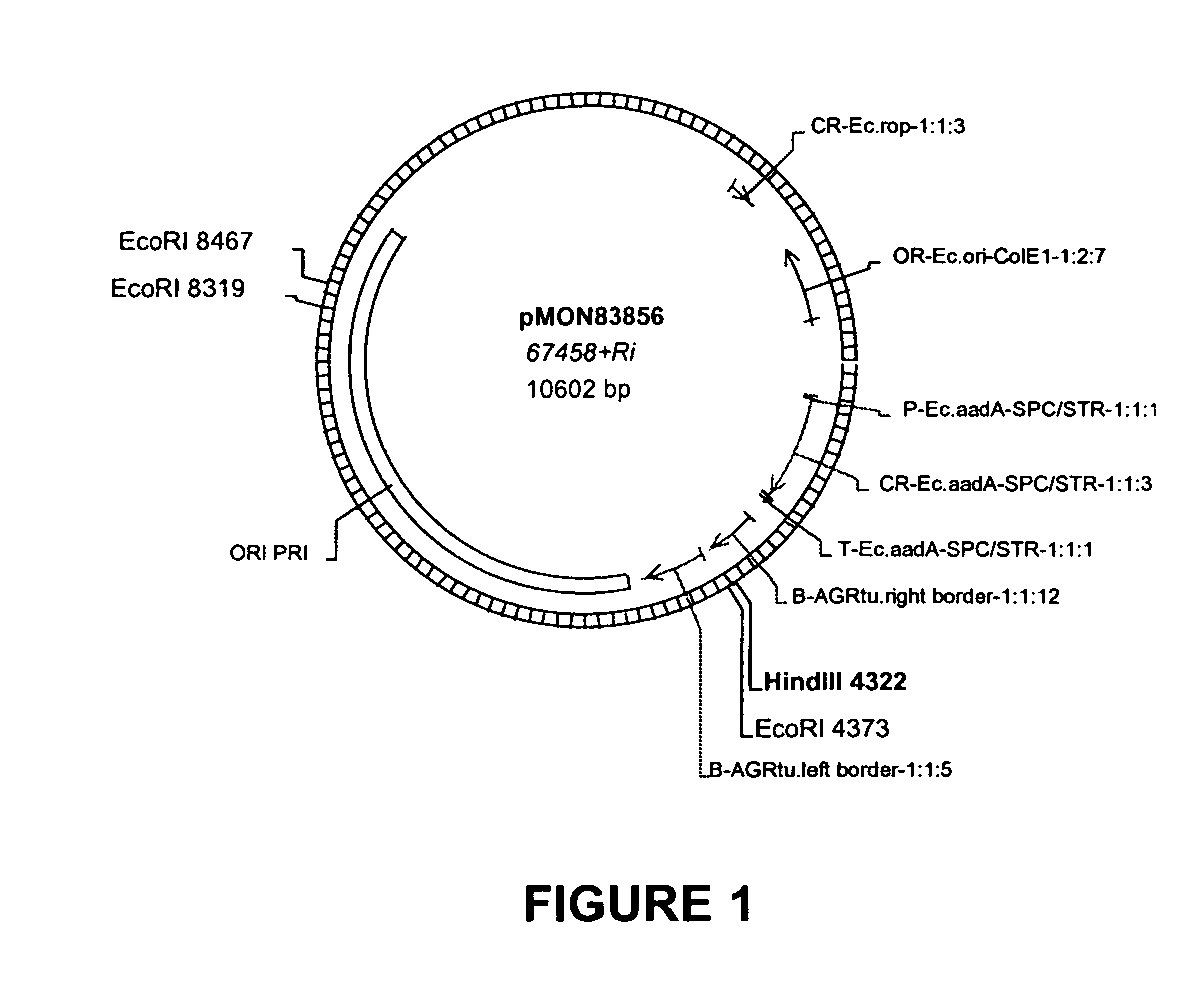Vectors and methods for improved plant transformation efficiency