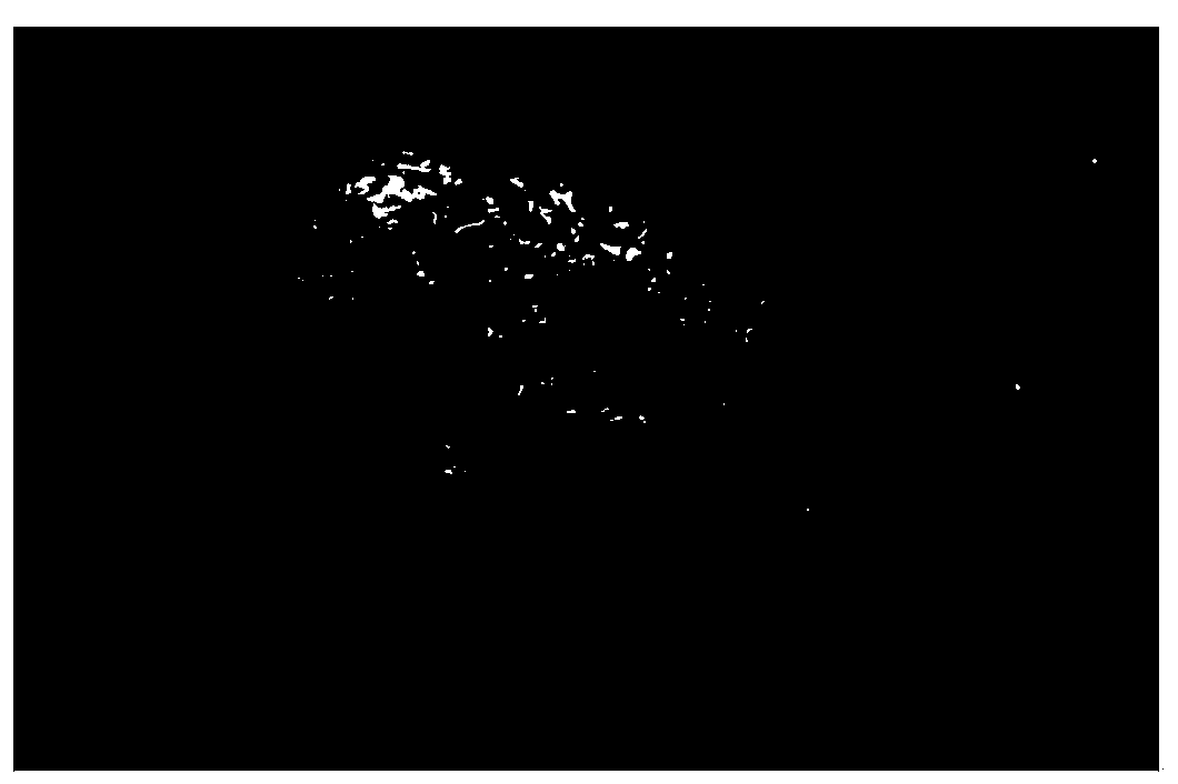 Polyethylene glycol based hydrogel and preparation method and application thereof