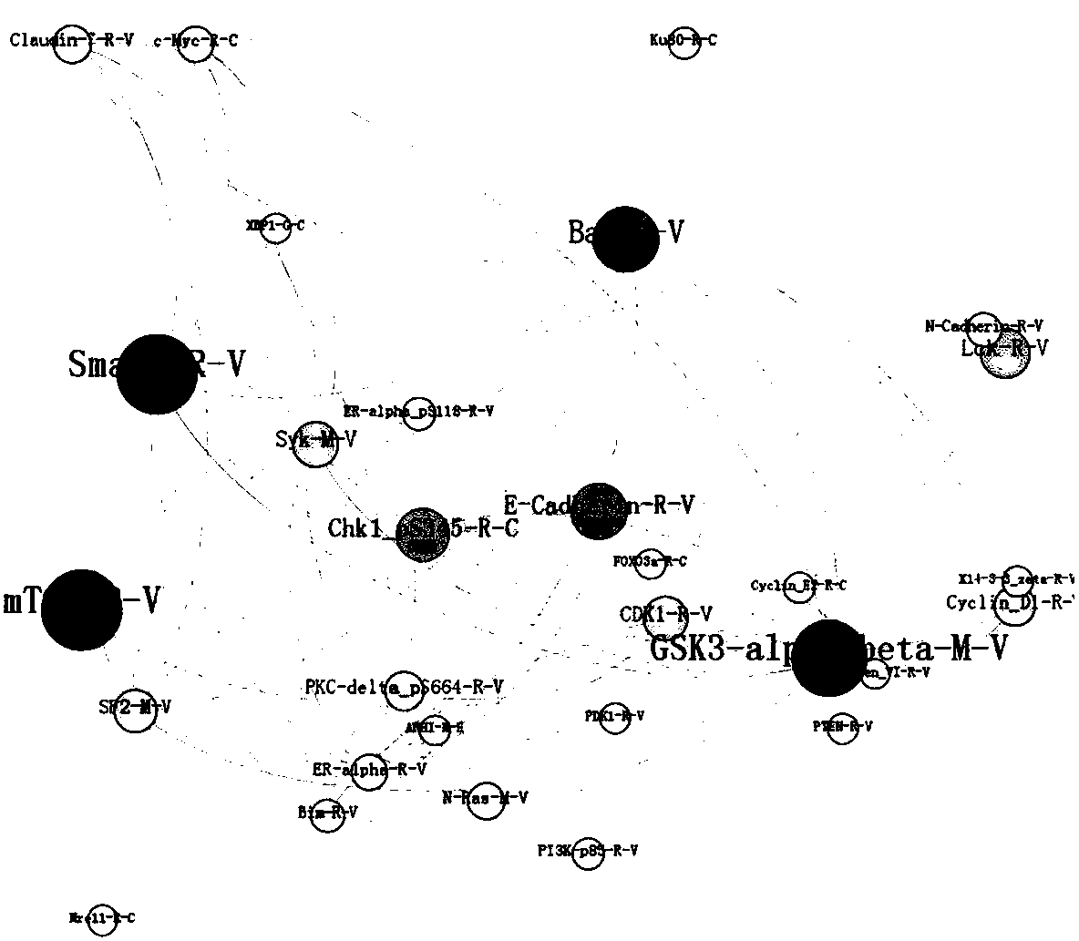 A method for screening tumor protein markers based on multi-layer complex network