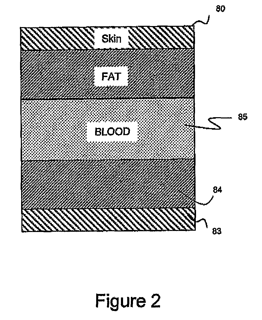 Apparatus and Method for Measuring Constituent Concentrations within a Biological Tissue Structure