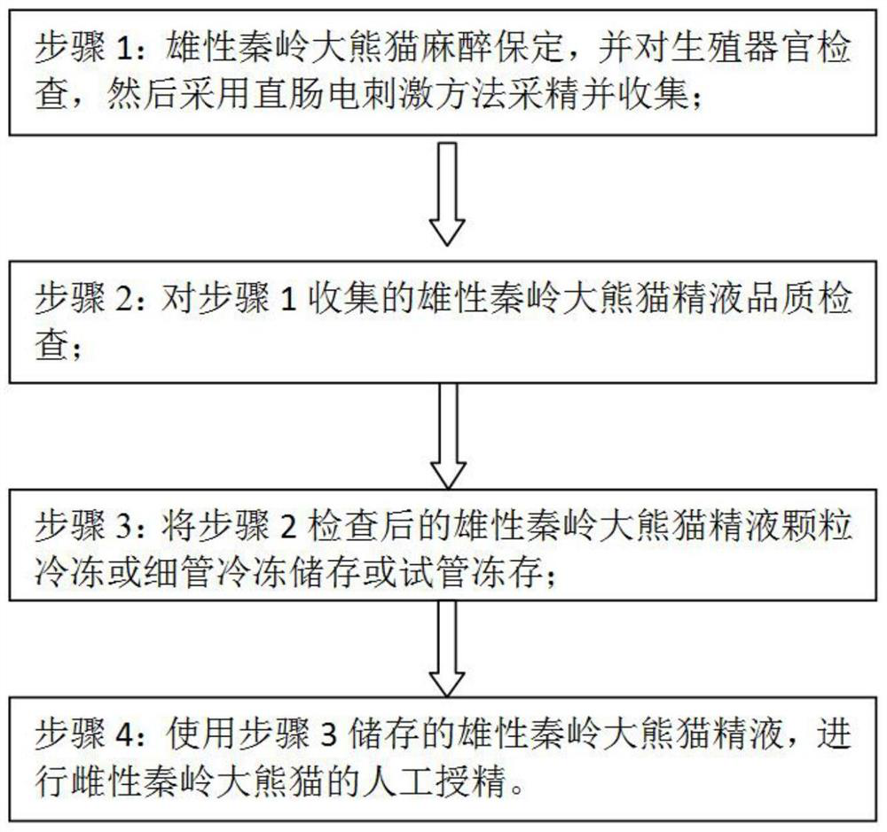 Artificial semen collection and insemination method for Qinling pandas