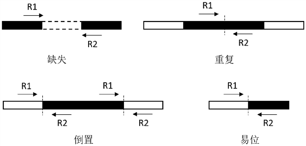 Chromosome structure variation identification method taking breakpoint as center