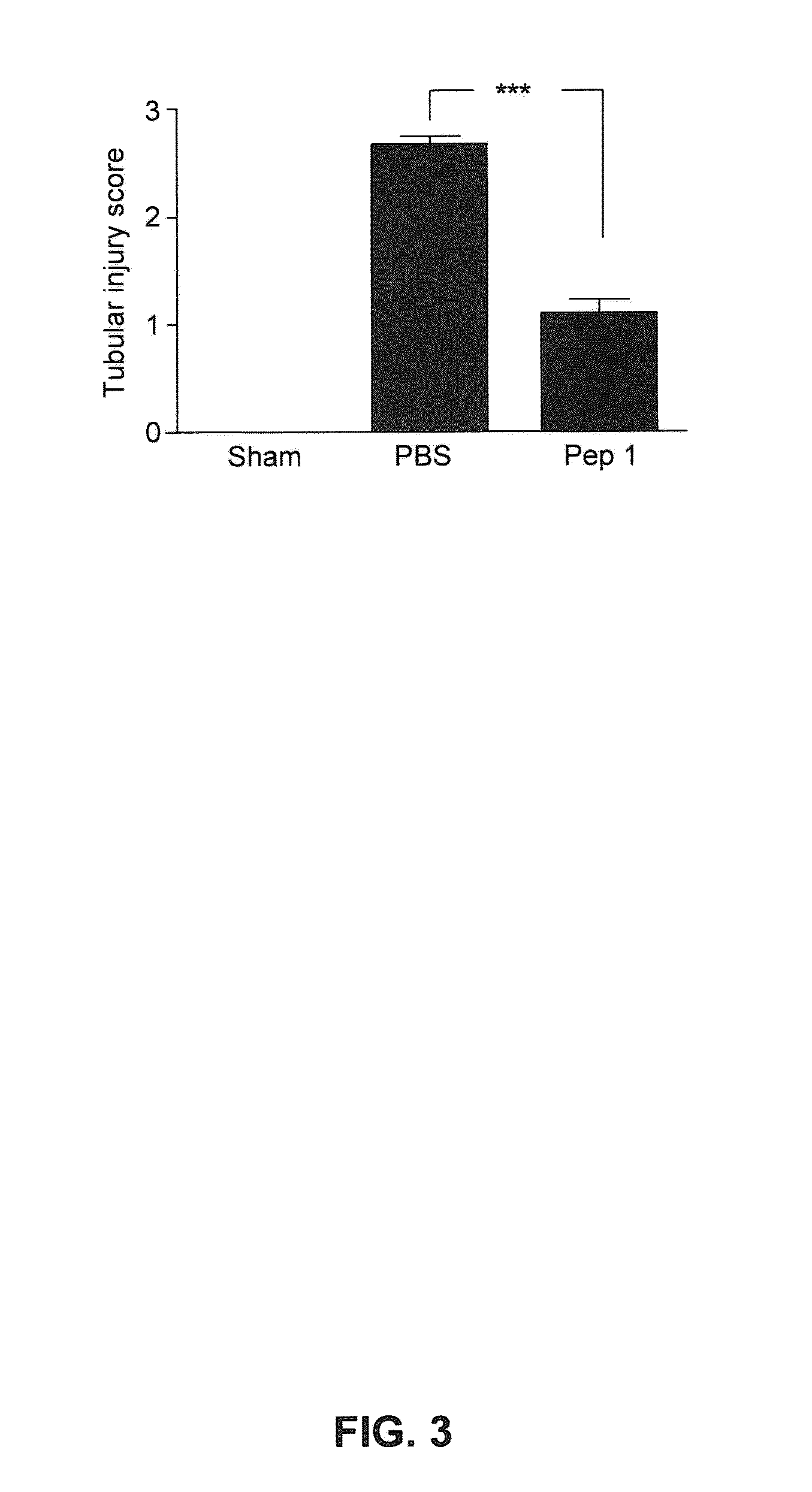 Composition for treating and preventing ischemic damage