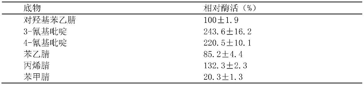 A strain producing nitrile hydratase and its method for producing p-hydroxyphenylacetamide