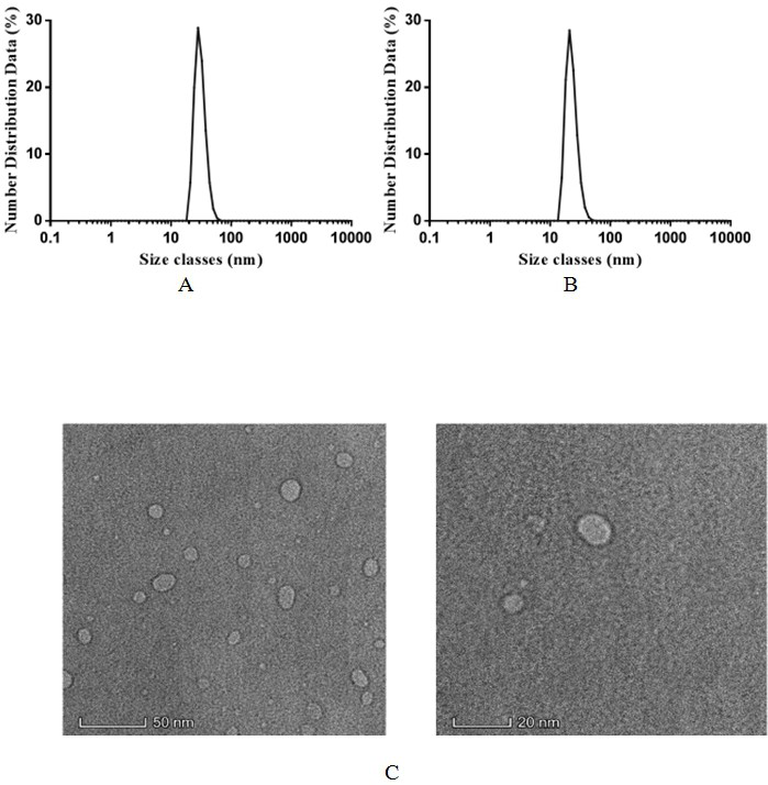 A preparation method of ms2 protein nanoparticle coupling monocarboxyphthalocyanine zinc and its application in anti-breast cancer