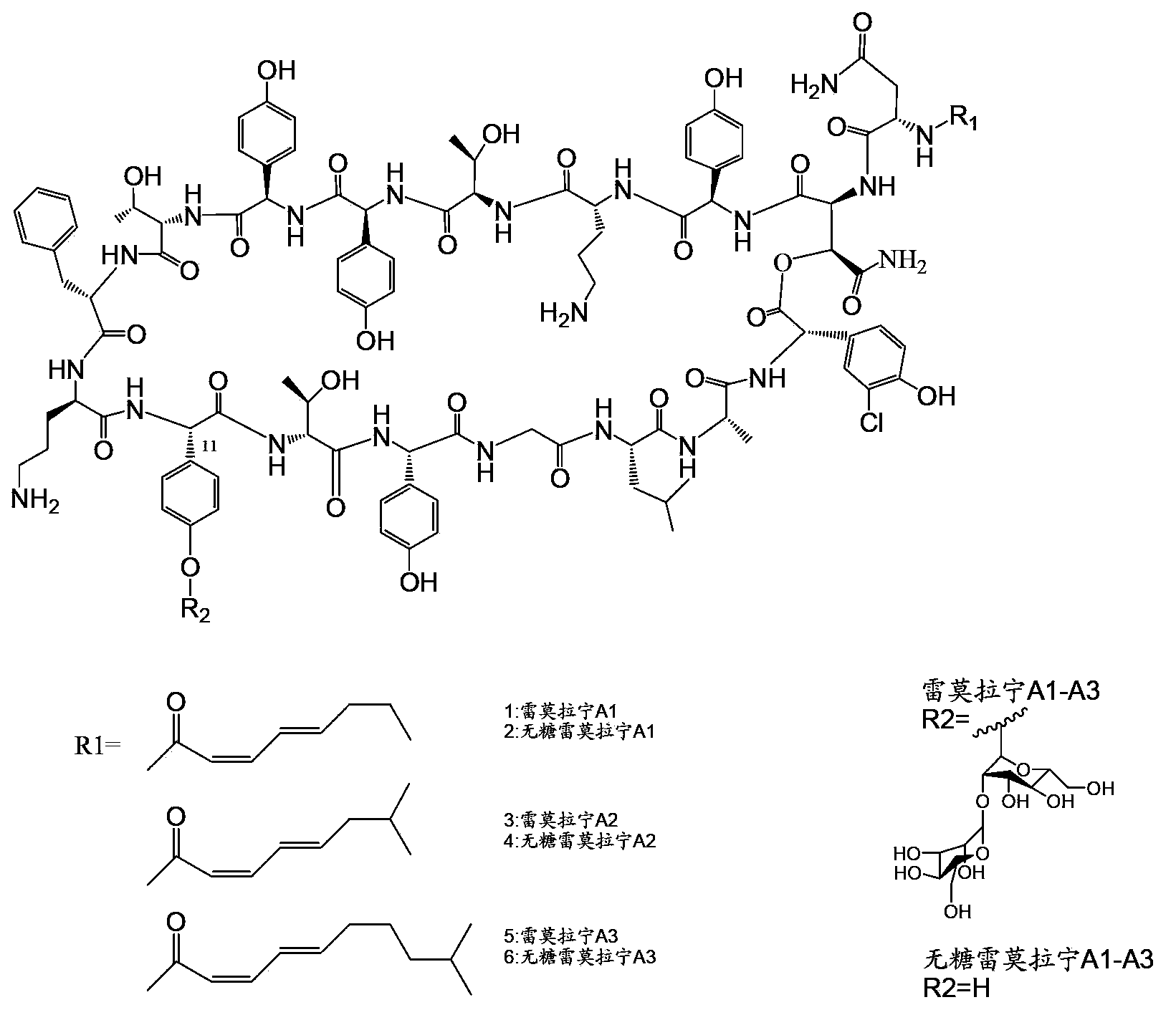 Genetic engineering bacterium for producing sugar-free ramoplanin, its construction method and application thereof