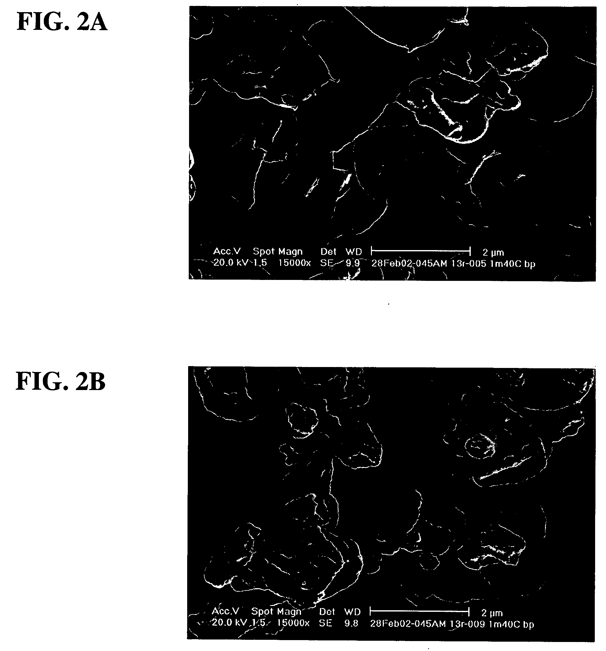 Interleukin-13 antagonist powders, spray-dried particles, and methods