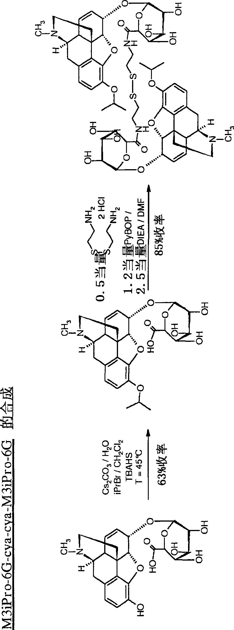 Novel morphine derivatives