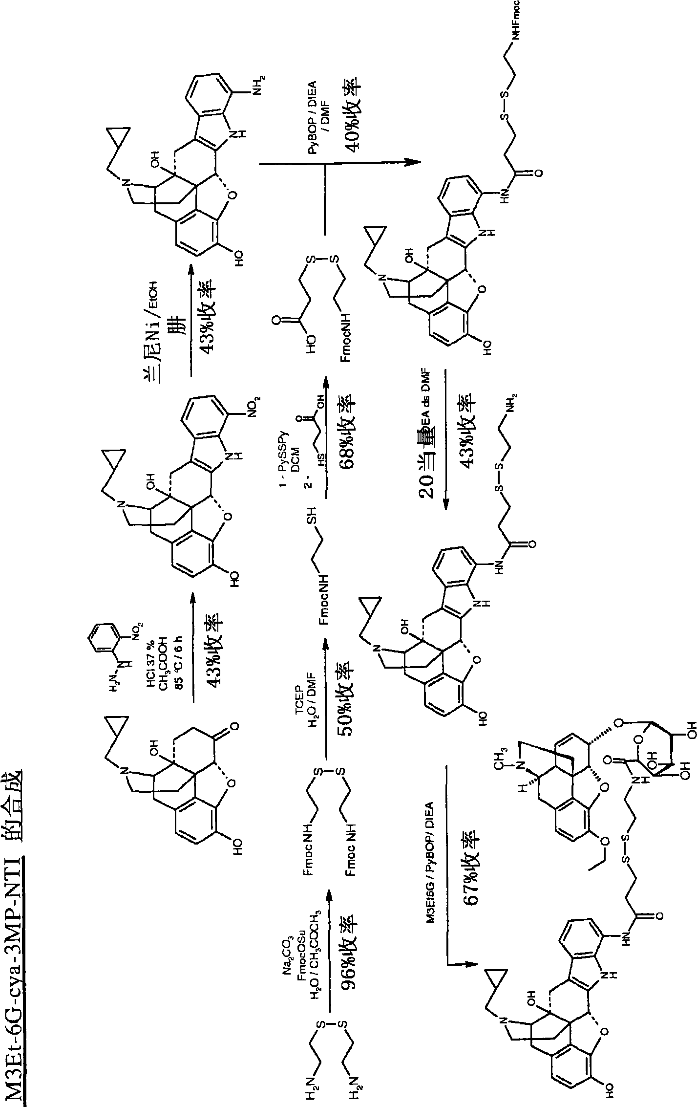 Novel morphine derivatives