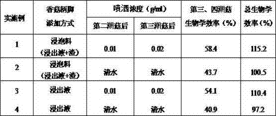 Agrocybe cylindracea cultivation method