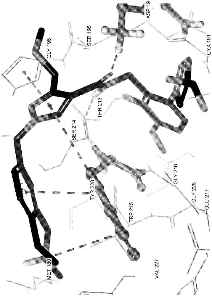 Plasma kallikrein inhibitor