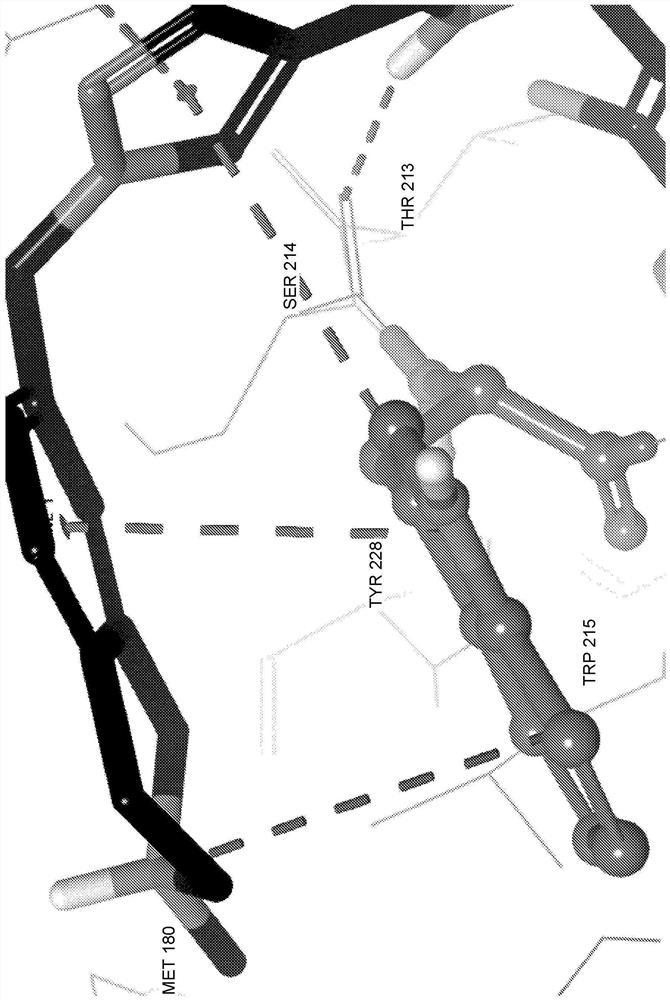 Plasma kallikrein inhibitor