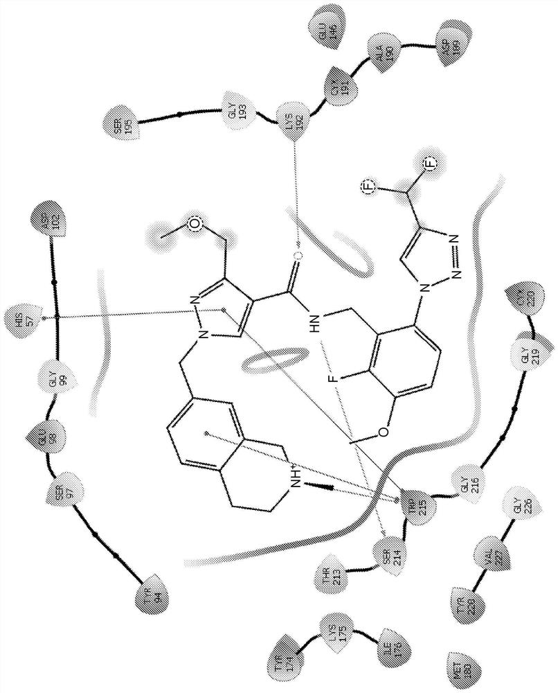 Plasma kallikrein inhibitor