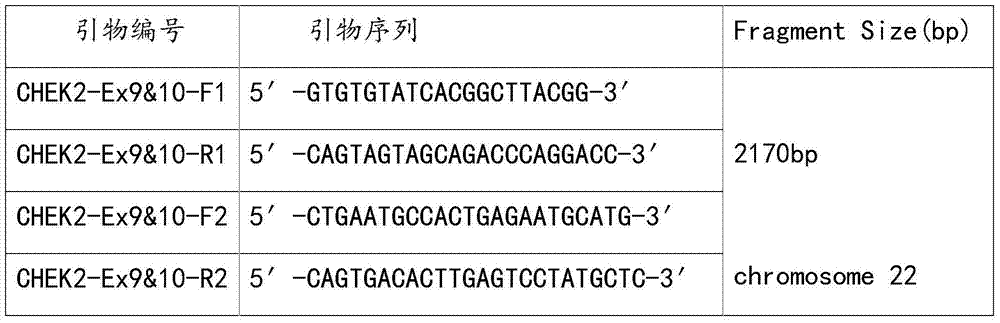 Capture of breast cancer related genes, and preparation method and application of probes