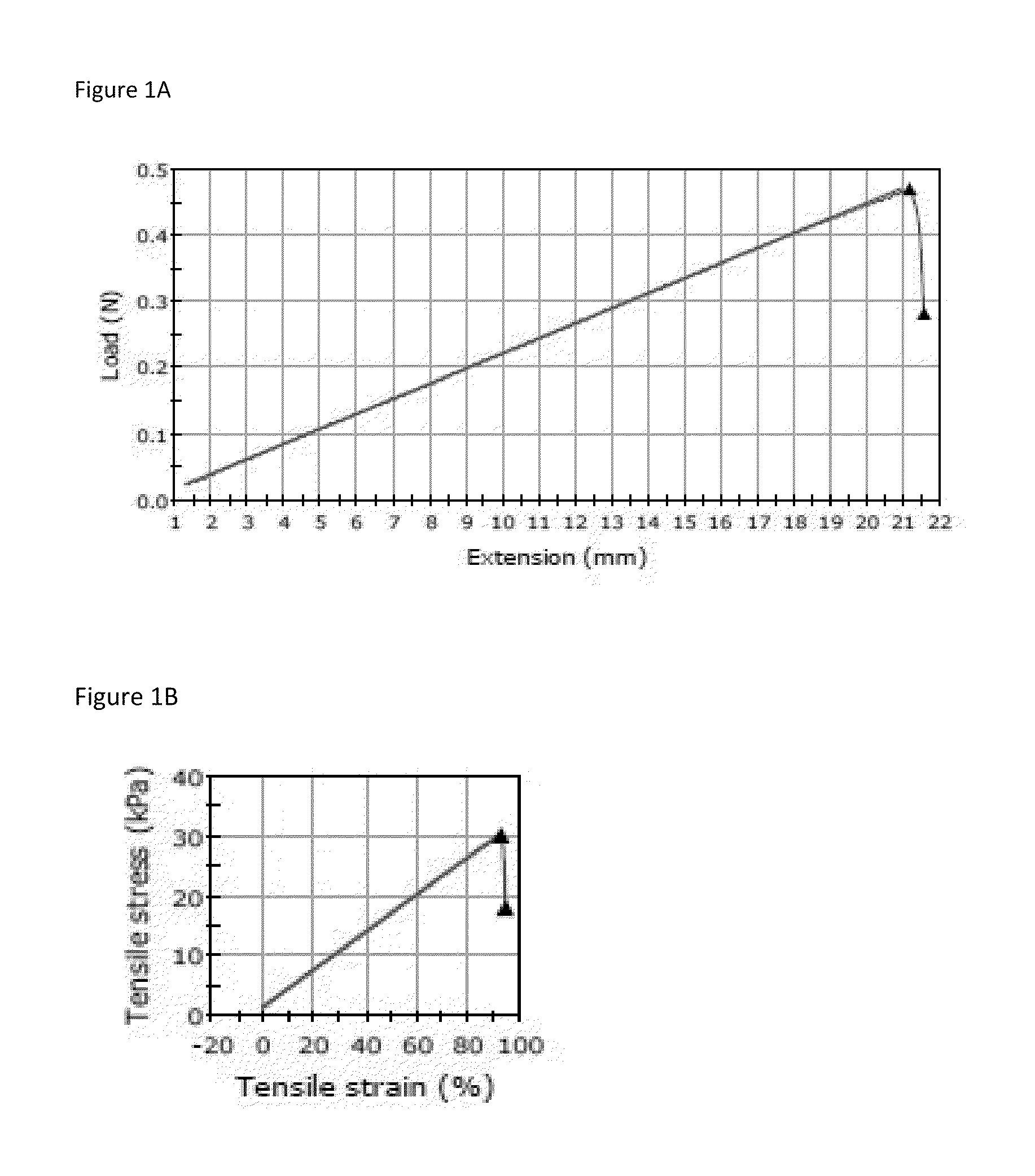 Method for enzymatic cross-linking of a protein