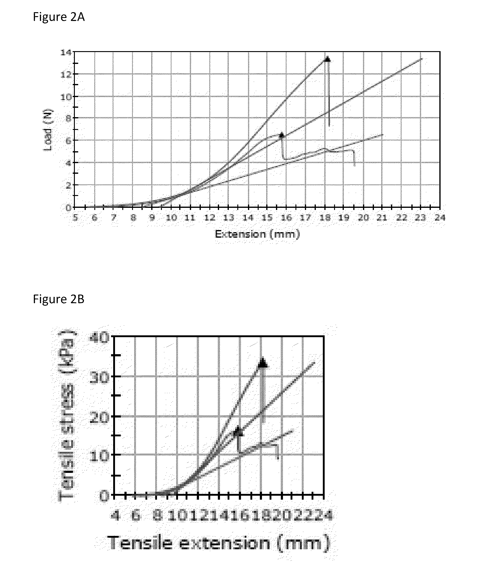 Method for enzymatic cross-linking of a protein