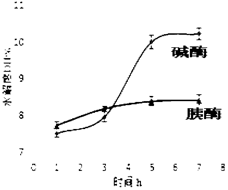 Preparation method of hippocampus polypeptide enzyme solution