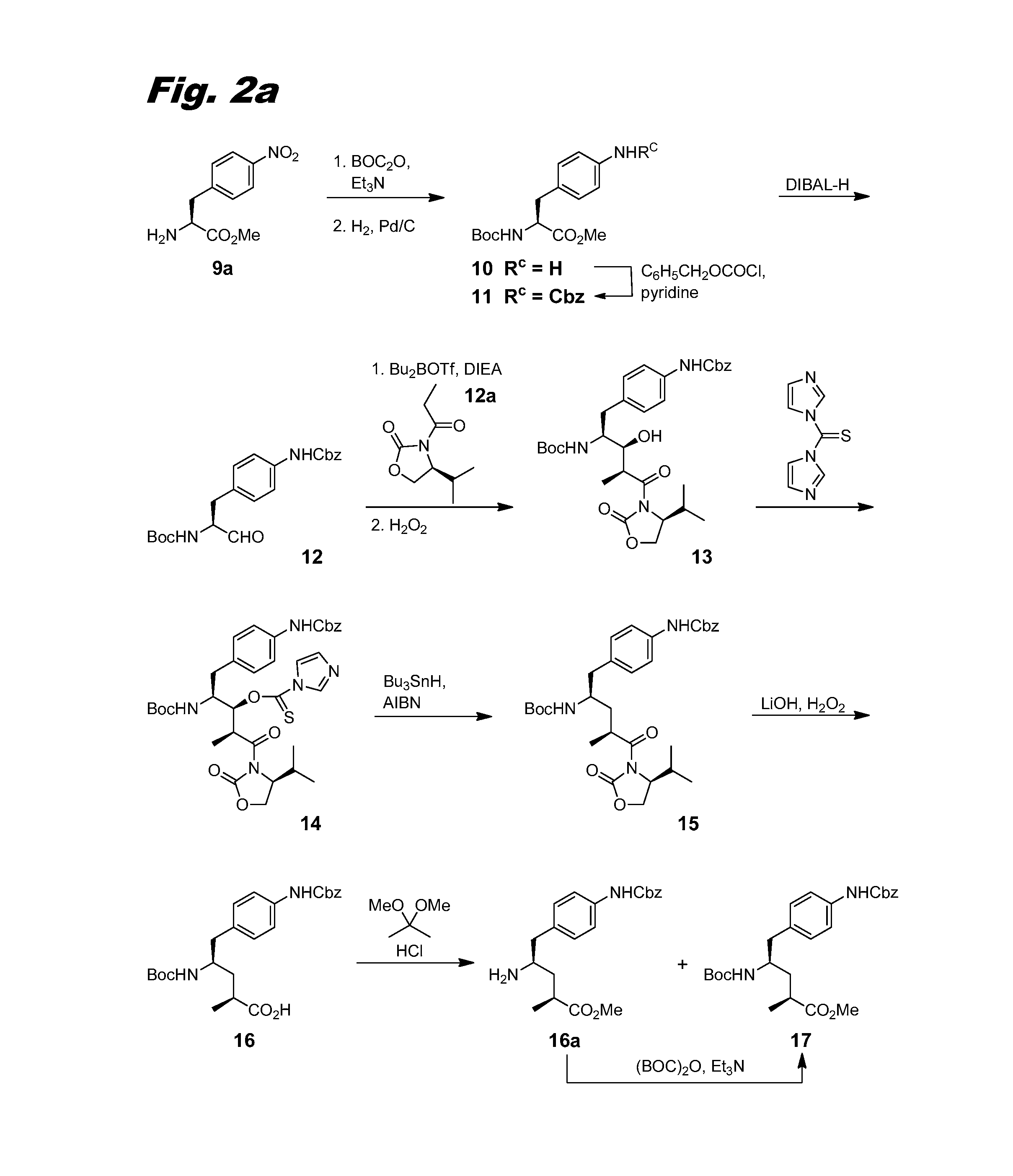 Tubulysin compounds, methods of making and use