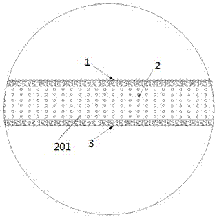 Sports ground surface layer coiled material, and production and paving method thereof