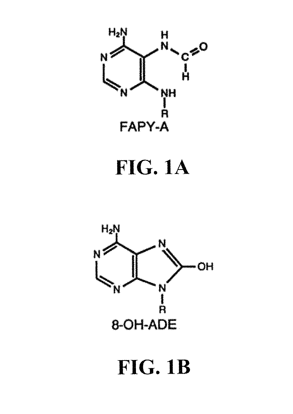 Antibodies specific for 4,6-diamino-5-(formamido)pyrimidine and uses thereof