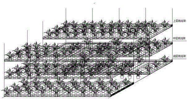 Soilless seedling-cultivation device and method for vegetables in gardens of high-altitude agricultural and pastoral areas