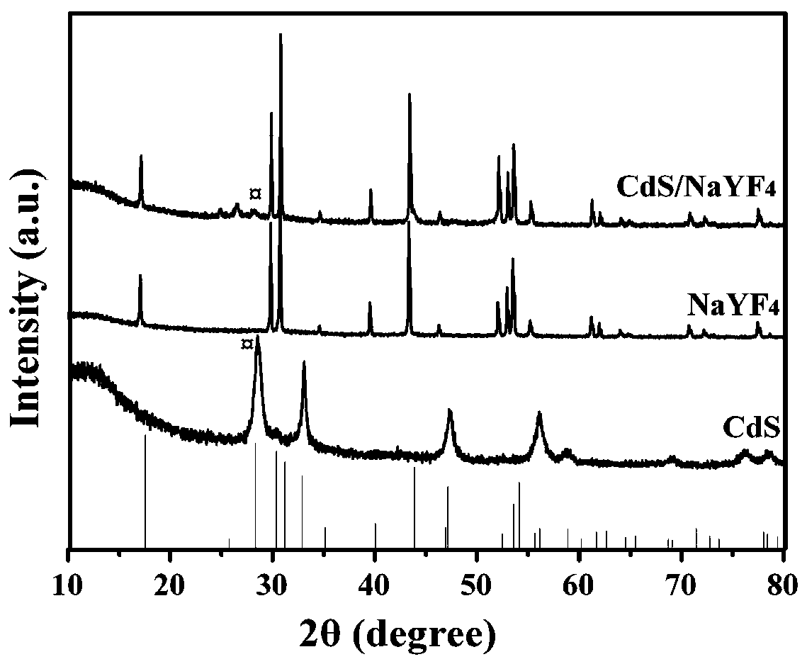 Preparation method of cadmium sulfide-loaded hexagonal phase ytterbium and erbium-doped sodium tetrafluoroyttrium composite photocatalyst